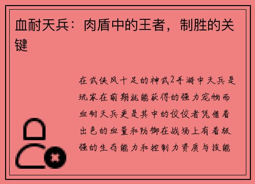 血耐天兵：肉盾中的王者，制胜的关键